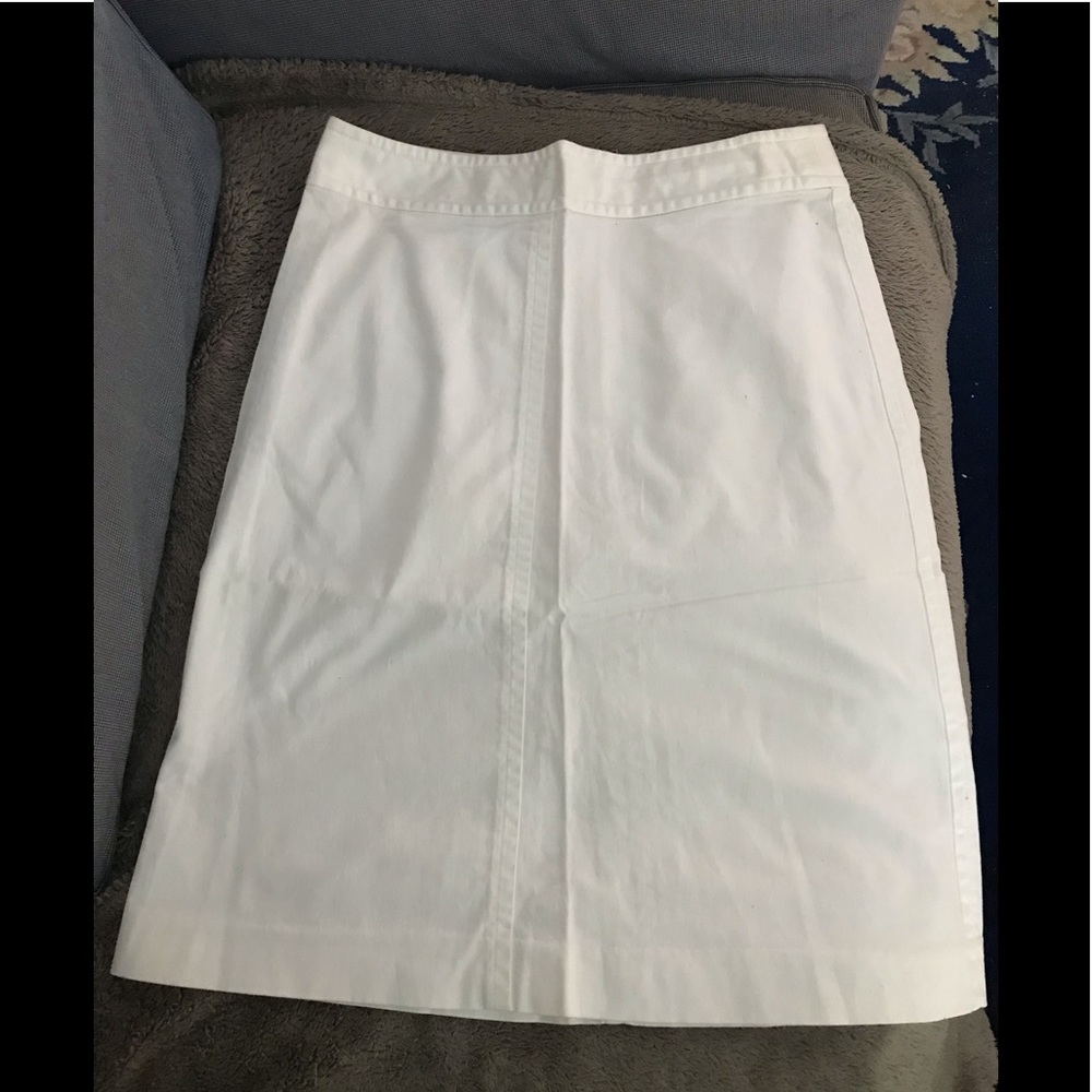 Banana Republic Skirt